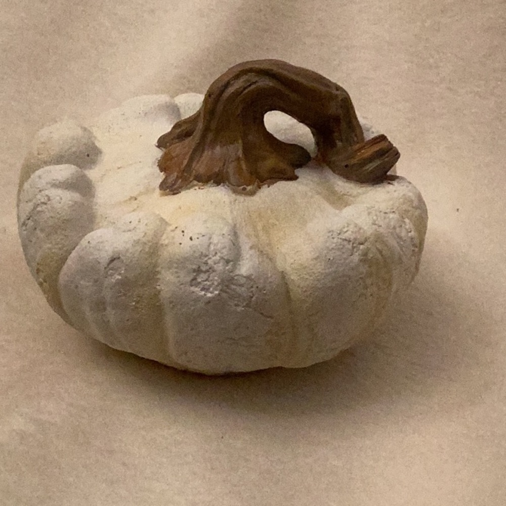 Fall Decor ~ White Resin Pumpkin ~ Direct International ~ Rustic Primitive